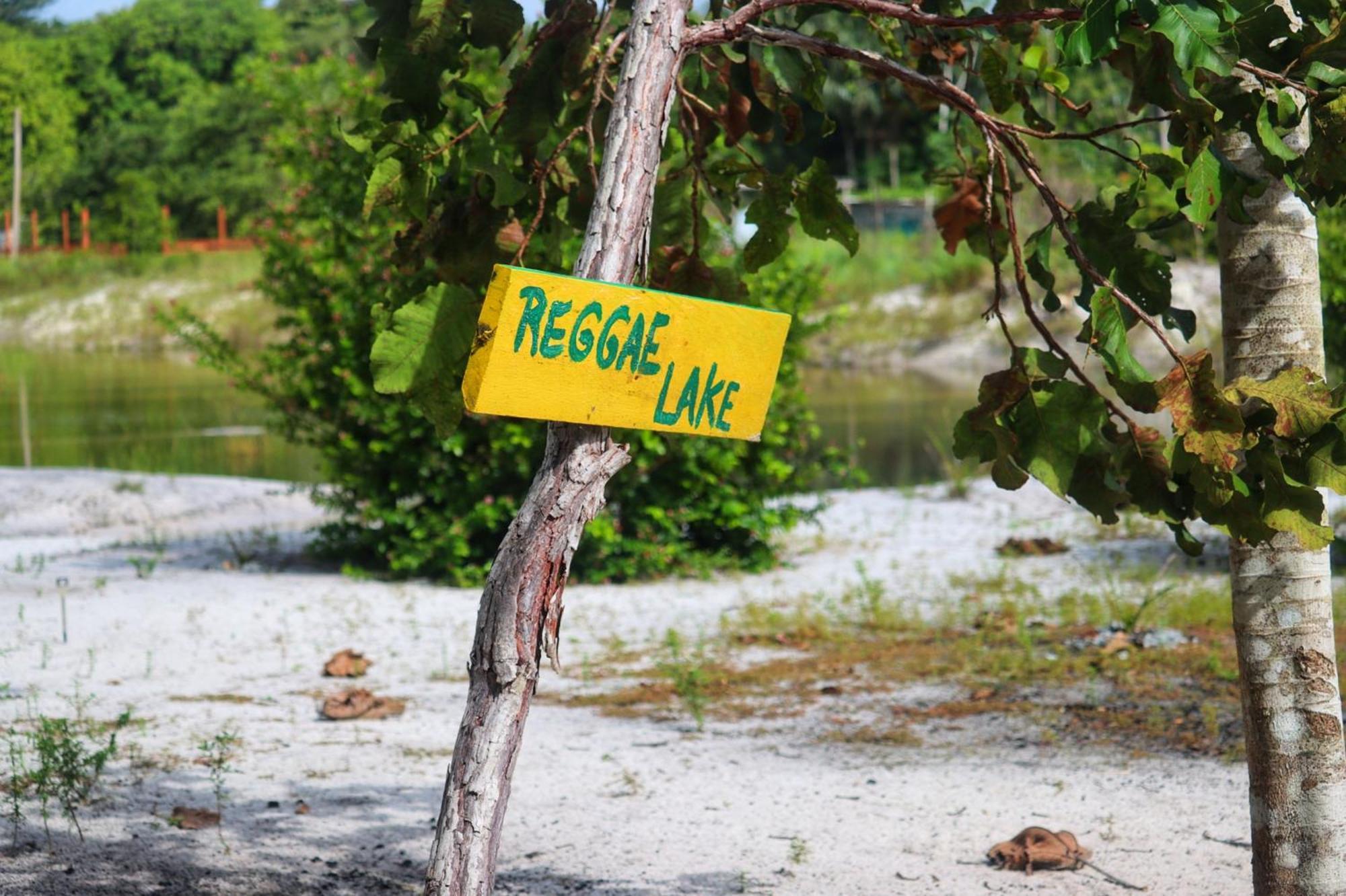Land Of Promise - Reggae Bar & Eco Village Zanderij Zewnętrze zdjęcie